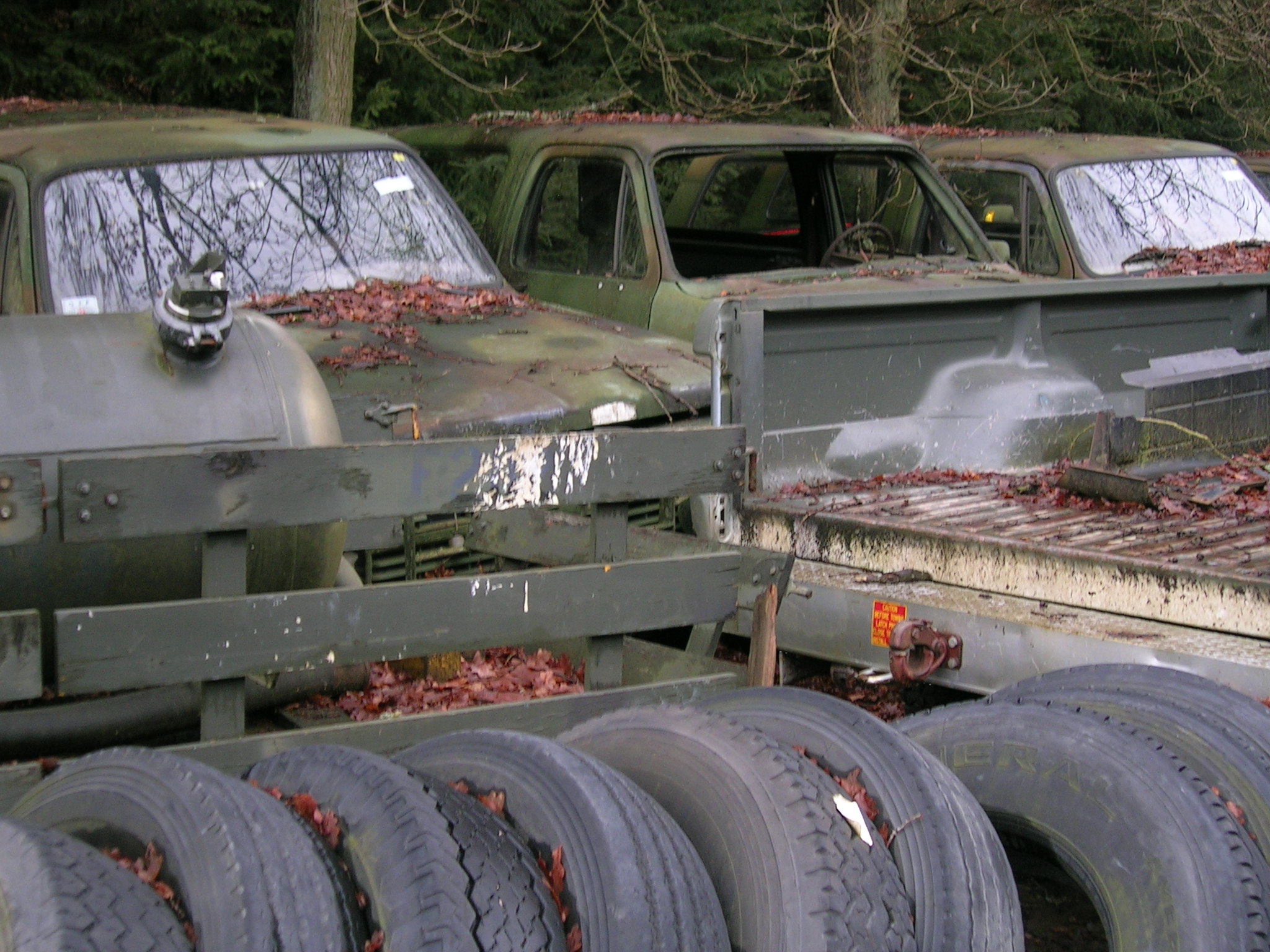 Auch in 2009 waren wir in Peterslahr