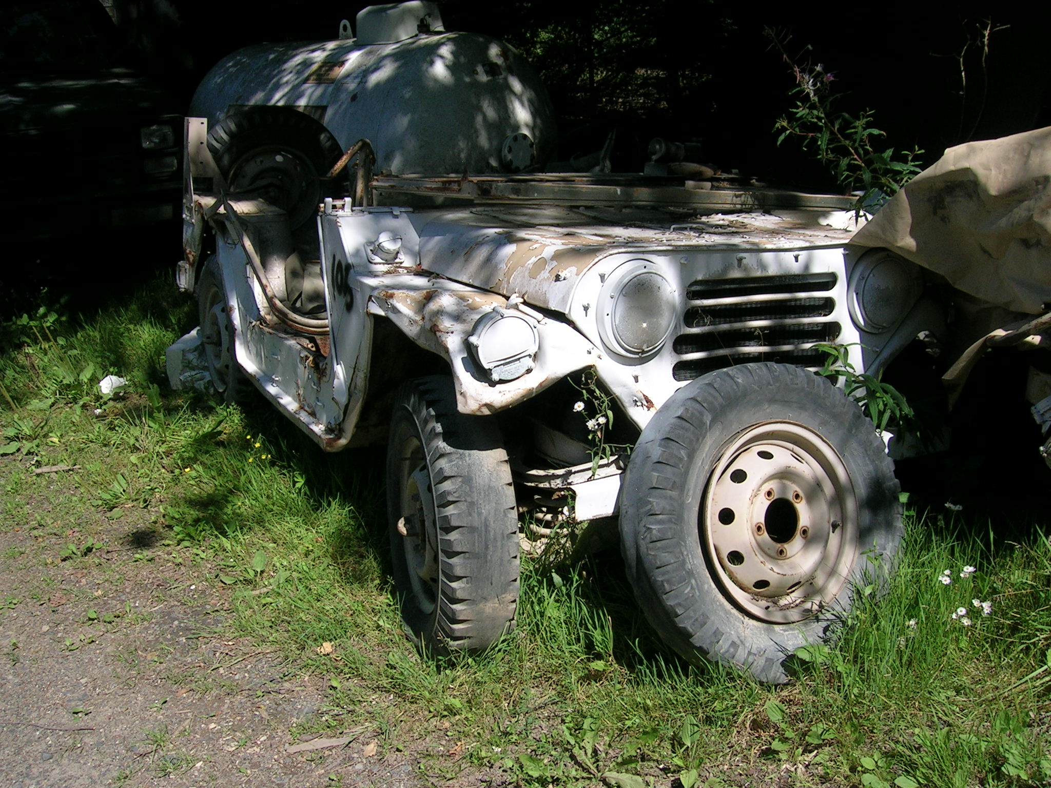 Diese Mutts kann man alle kaufen