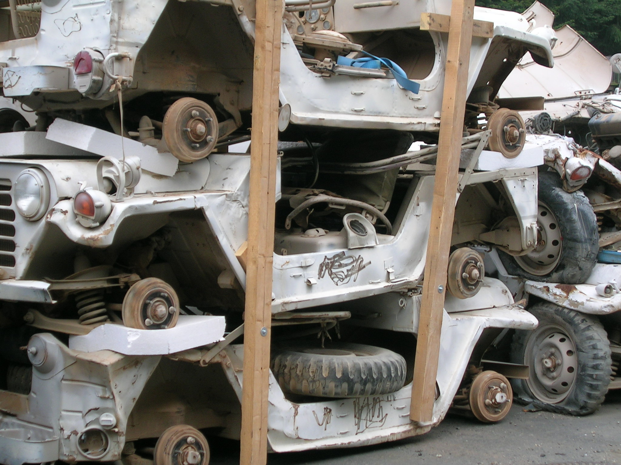 Diese Mutts kann man alle kaufen