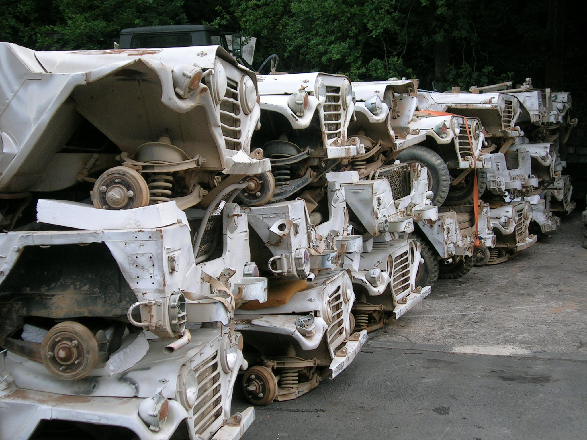 Diese Mutts kann man alle kaufen