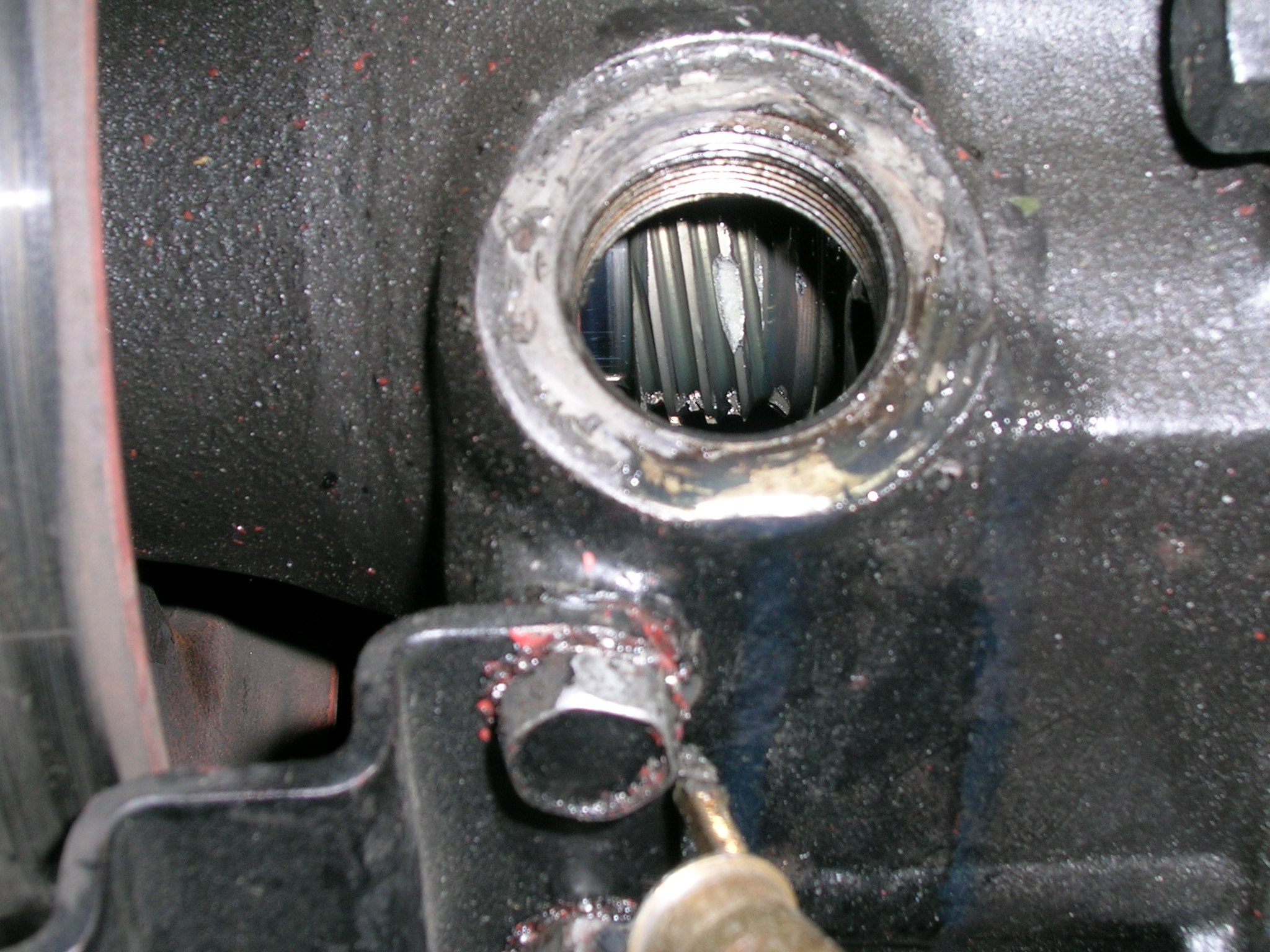 Der Motor musste aus dem Mutt raus