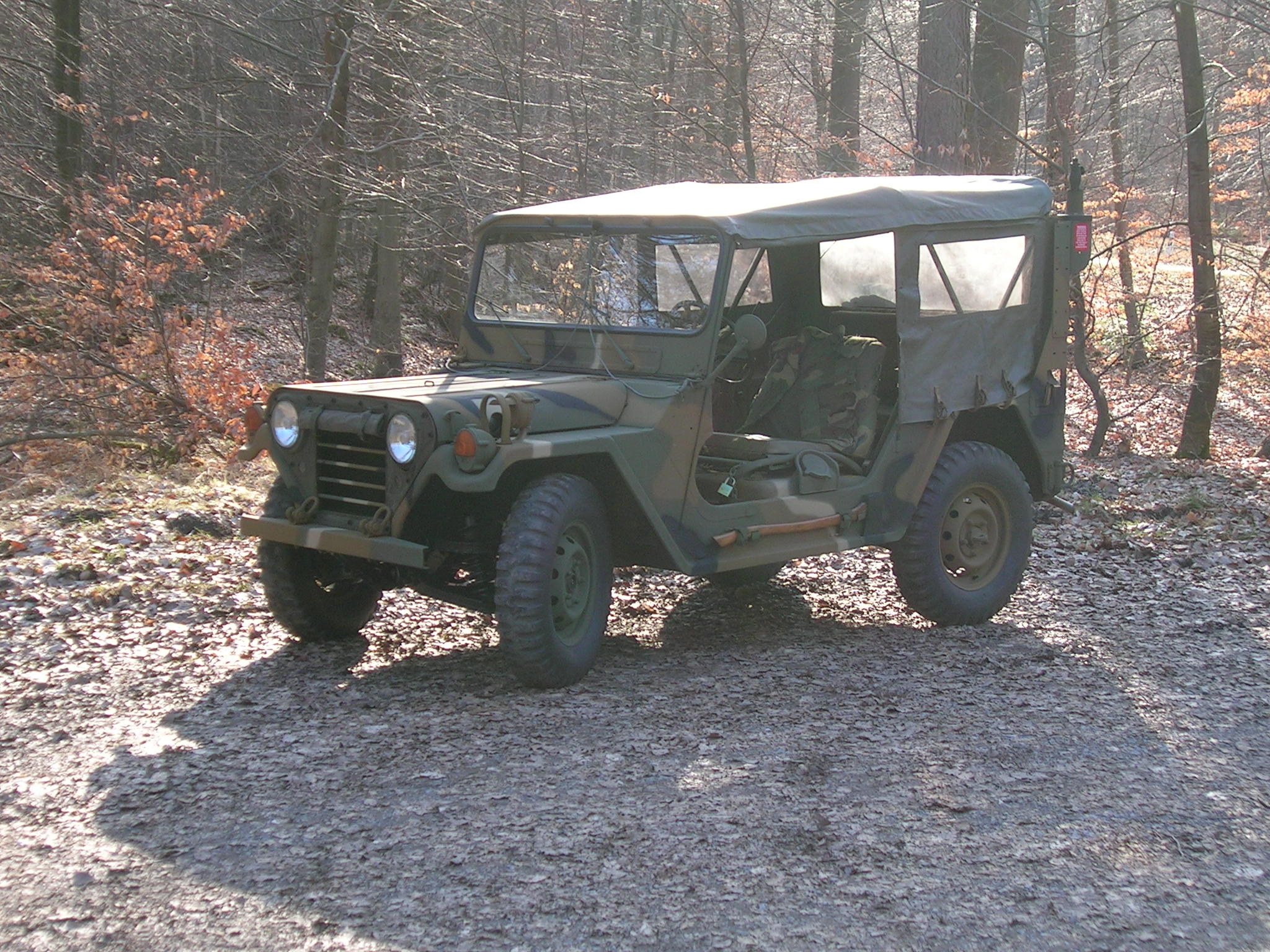 Mein Ford Mutt M151 A2 im Eschenauer Wald