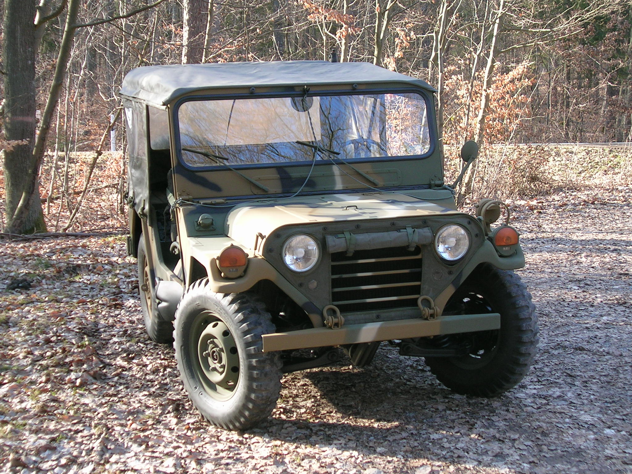 Mein Ford Mutt M151 A2 im Eschenauer Wald