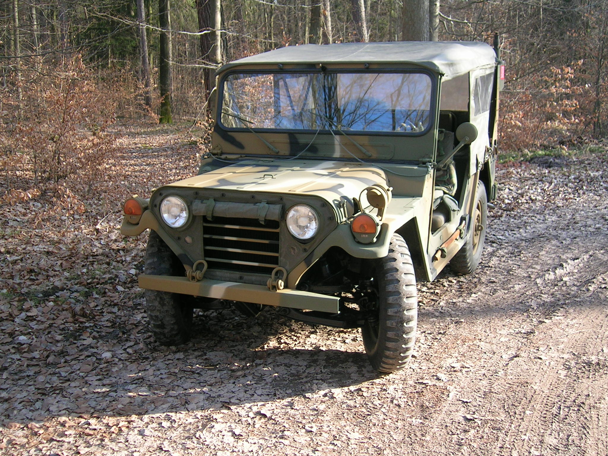 Mein Ford Mutt M151 A2 im Eschenauer Wald