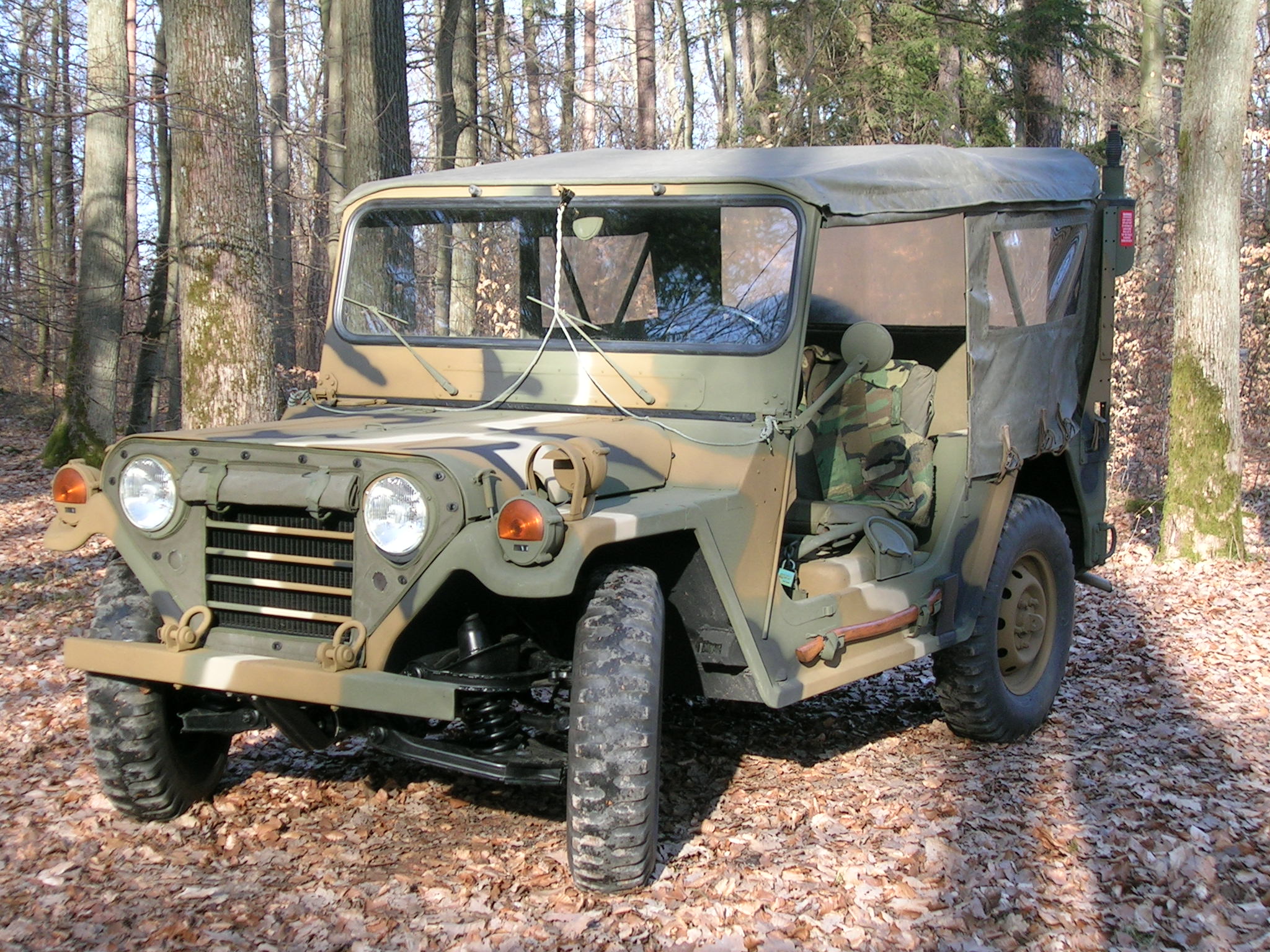 Mein Ford Mutt M151 A2 im Eschenauer Wald
