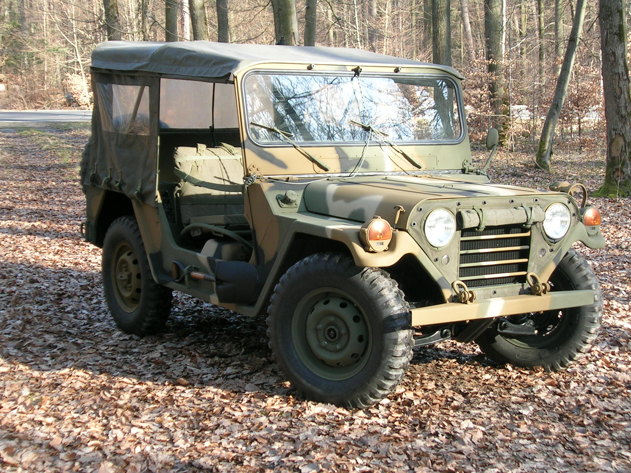 Mein Ford Mutt M151 A2 im Eschenauer Wald