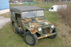 Mein Ford Mutt M151 A2 in der Sonne